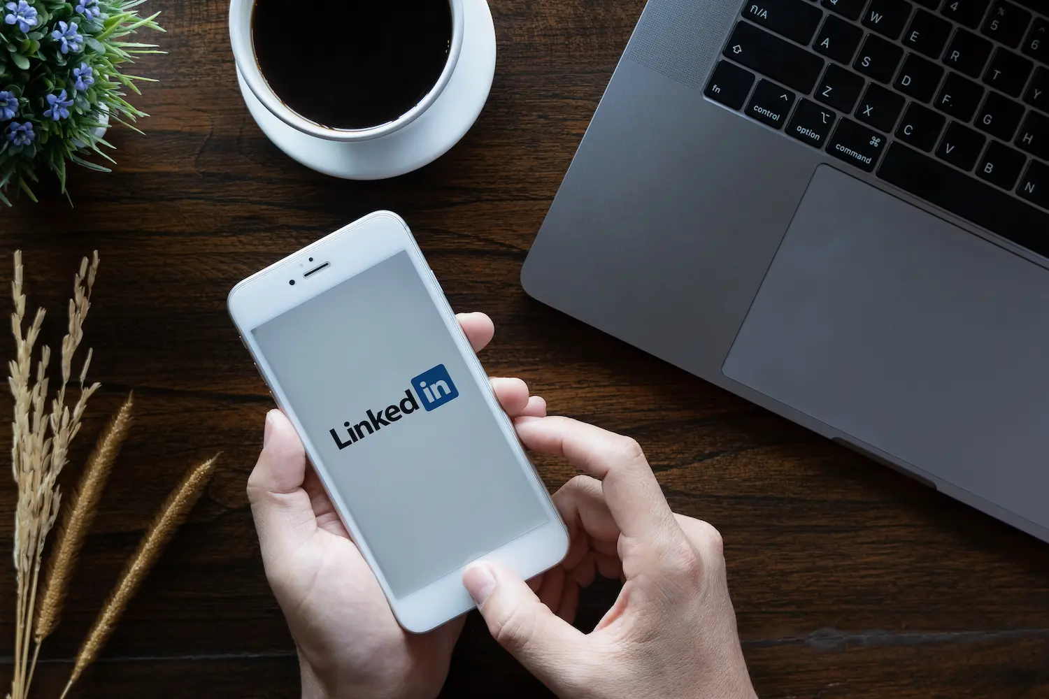 LinkedIn Profile Tips – Ultimate Guide for Professionals